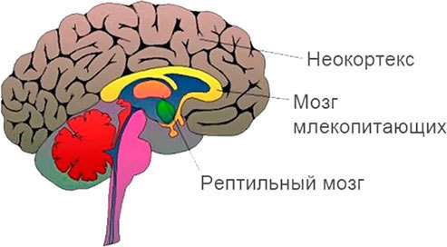 Учение Солнца (Огня и Света) – том I Новое Учение идёт из России - i_012.jpg