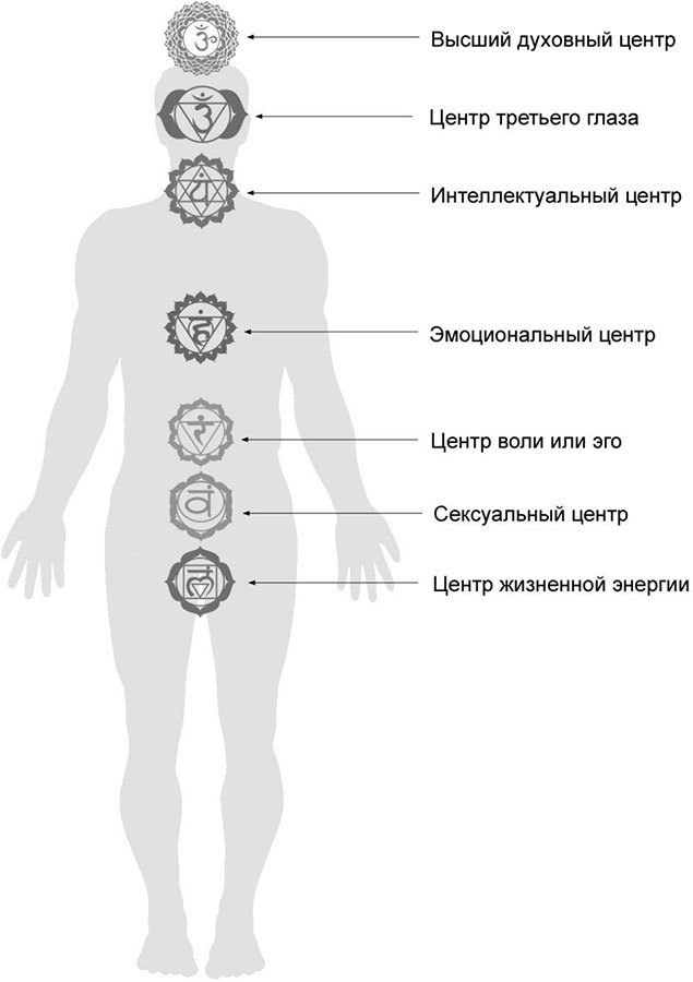 Жизнь в неосознанности, или Законы жизни человека-машины - i_006.jpg