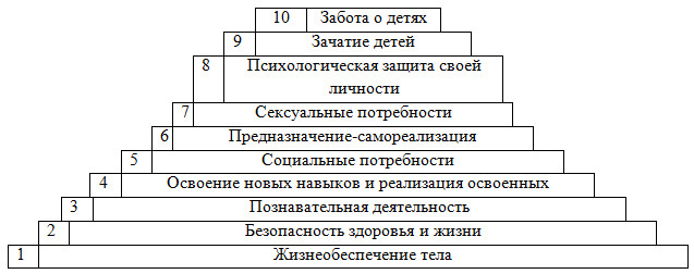 Бинарная психология - _0.jpg