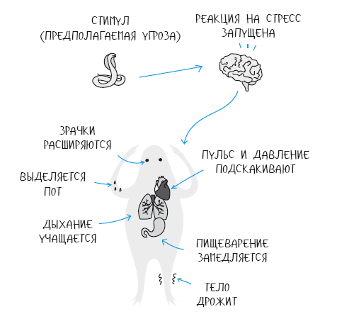 Без обид! Как эмоциональный интеллект помогает общаться с коллегами и руководством - i_018.png