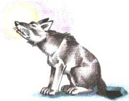 Тайна на дне колодца - i_020.jpg