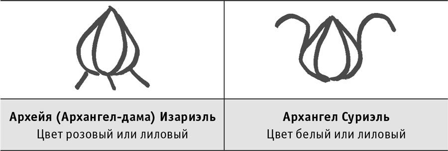 Рэйки: Сила, Радость, Любовь. Том II. Многообразие Рэйки - i_030.jpg