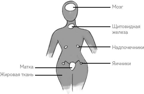 Ab Ovo. Путеводитель для будущих мам: об особенностях женской половой системы, зачатии и сохранении беременности - i_003.jpg