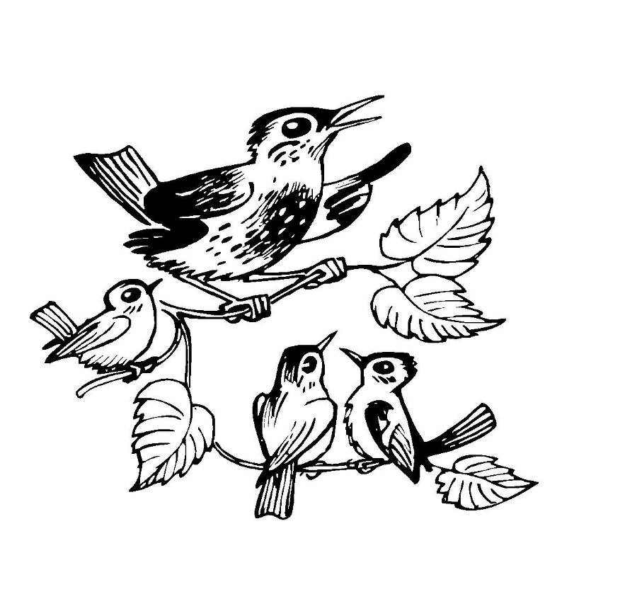 Загадки о певчих птицах - _0.jpg