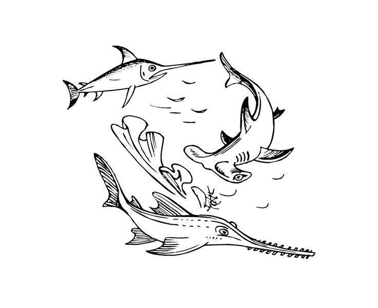 Загадки о морских животных и рыбах - _0.jpg