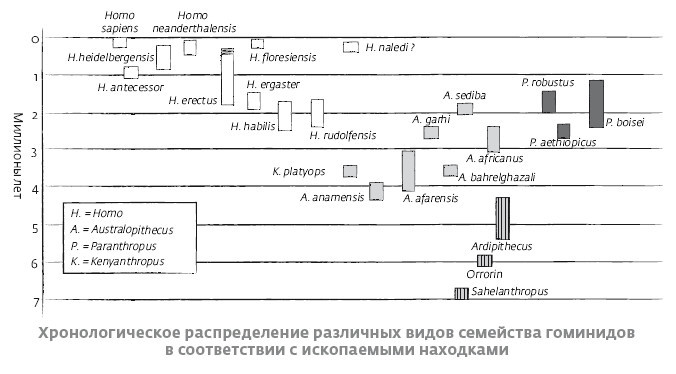 Сапиенс для пляжа: изучаем происхождение человека - i_002.jpg