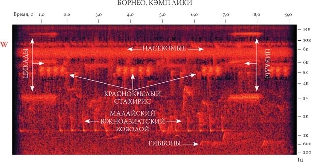 Как работает музыка - i_015.jpg