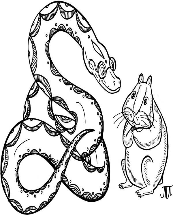 В поисках волшебной таблетки. Научно-популярная сказка - i_003.jpg