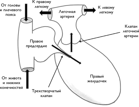 Записки кардиохирурга - i_001.png