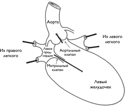 Записки кардиохирурга - i_002.png