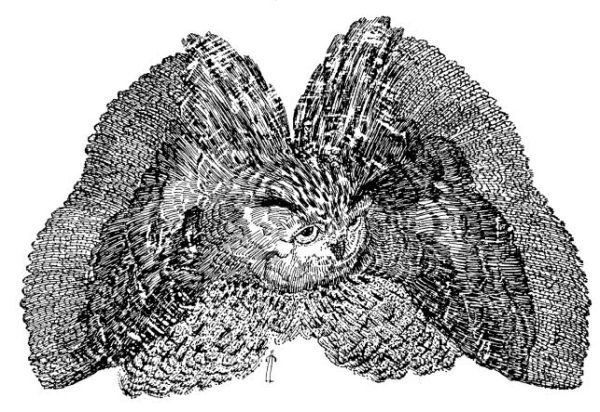 Правила неосторожного обращения с государством - i_007.jpg