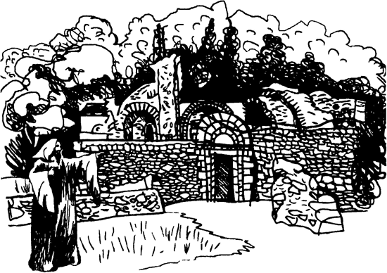 Проклятие древних жилищ<br />(Романы, рассказы) - i_021.png