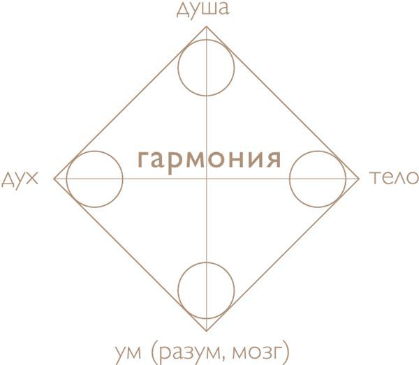 Супержена. Как сделать мужа самым успешным - i_001.jpg