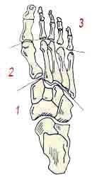 Энциклопедия женской красоты и здоровья - i_008.jpg