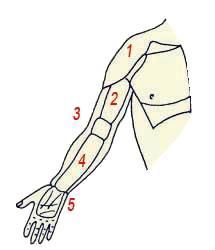 Энциклопедия женской красоты и здоровья - i_121.jpg