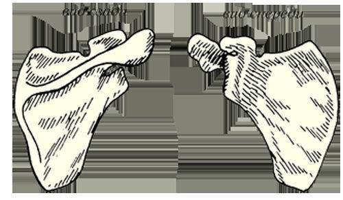 Энциклопедия женской красоты и здоровья - i_122.jpg