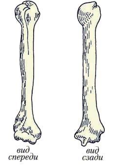 Энциклопедия женской красоты и здоровья - i_123.jpg