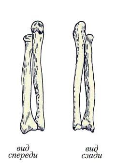 Энциклопедия женской красоты и здоровья - i_124.jpg