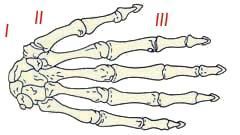 Энциклопедия женской красоты и здоровья - i_125.jpg