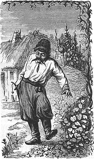 Майская ночь, или Утопленница(Совр. орф.) - i_006.png