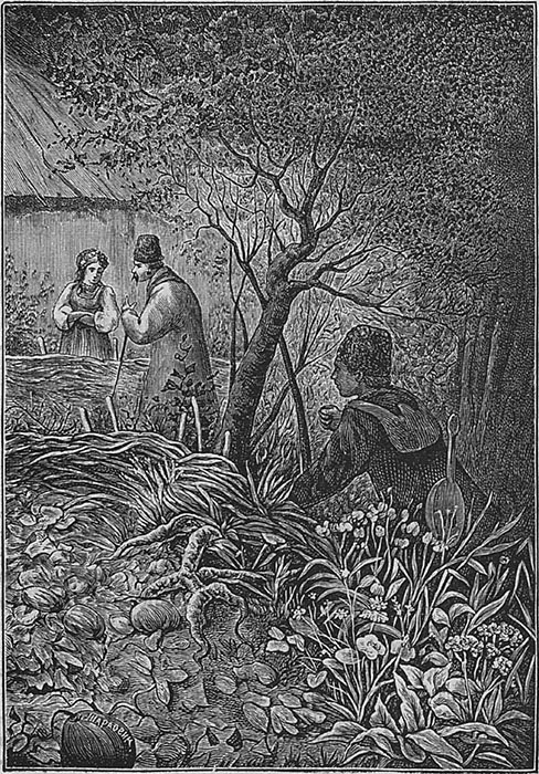 Майская ночь, или Утопленница(Совр. орф.) - i_009.jpg