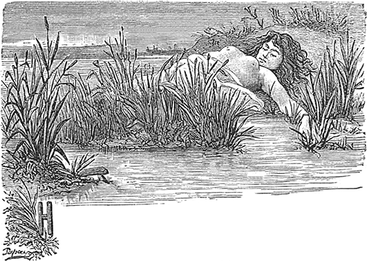 Майская ночь, или Утопленница(Совр. орф.) - i_015.png