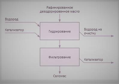 Что такое трансжиры и чем они опасны - _10.jpg