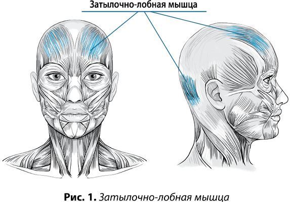 Гимнастика для лица. Практики для сохранения красоты и молодости - i_005.jpg