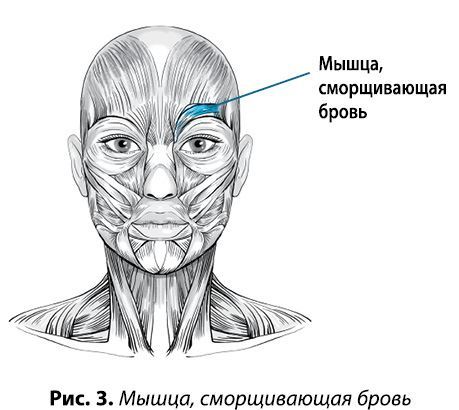 Гимнастика для лица. Практики для сохранения красоты и молодости - i_007.jpg