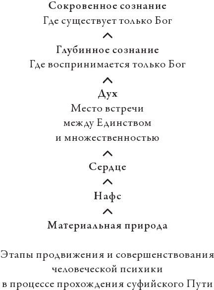 Психология суфизма. Размышления о стадиях психологического становления и развития на суфийском Пути - imgf9e2e77215054633ae807bef2d85dbed.jpg