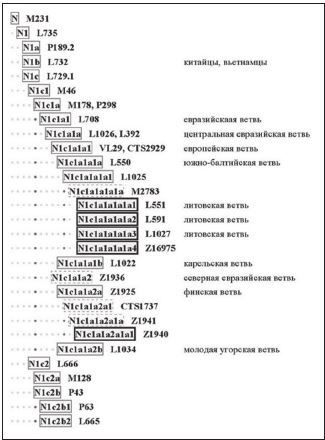 Древнейшая история Пензенского края: мифы и реальность. Взгляд на историю с точки зрения новейших исследований ДНК-генеалогии - i_007.jpg