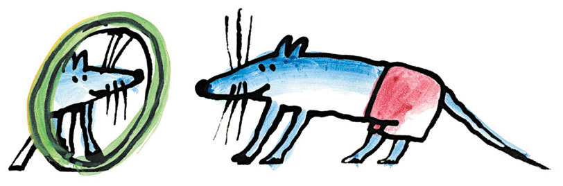 Земля имеет форму репы - i_026.jpg