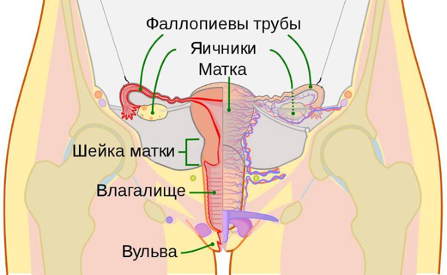 Хорошо быть девочкой - _9.jpg