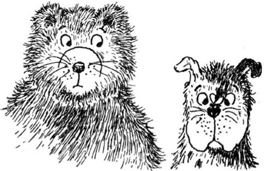 Налле Лапсон и Тяпка - i_001.jpg