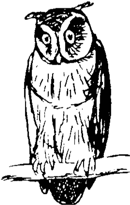 Из полного собрания бессмыслиц - b00000172.png