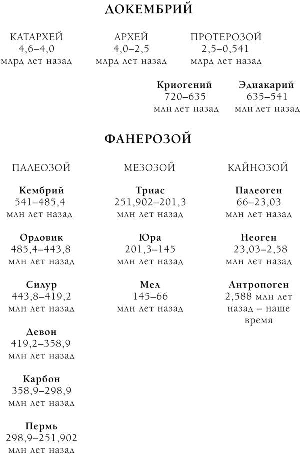 Палеонтология антрополога. Книга 2. Мезозой - i_004.jpg