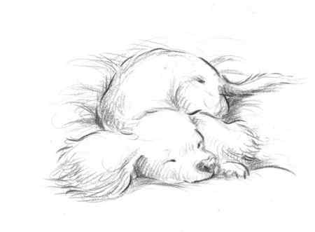 Щенок из кармана - i_003.jpg