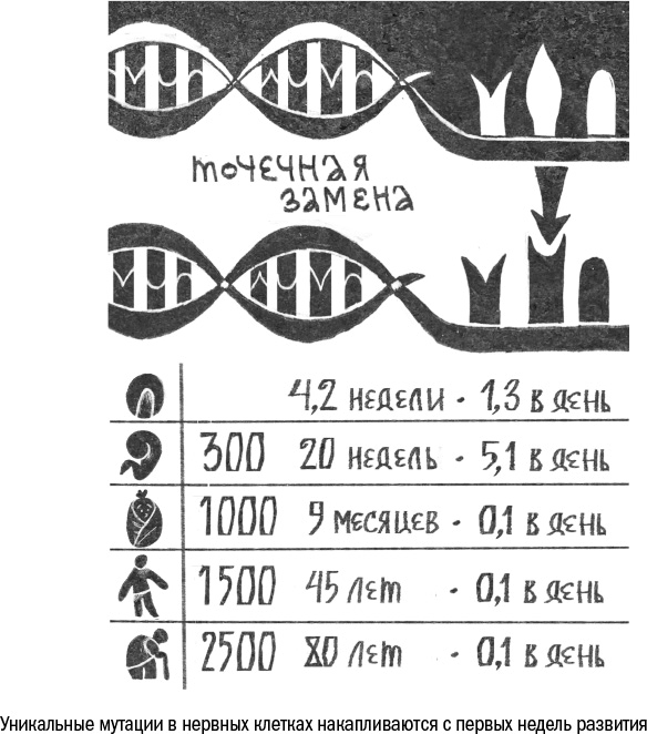 Против часовой стрелки - i_005.png