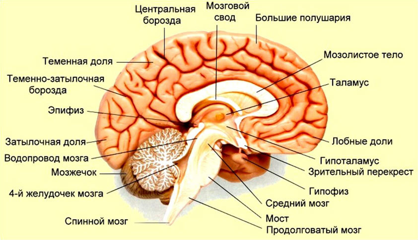 Учение Солнца (Огня и Света). Том III - i_022.jpg