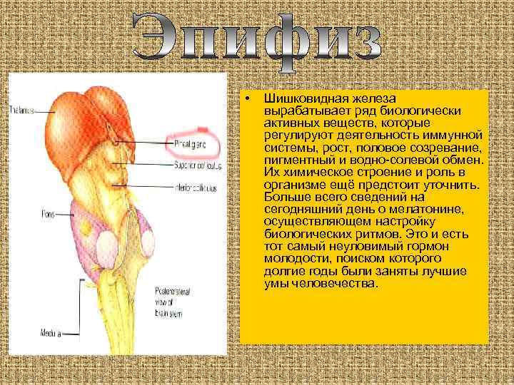 Учение Солнца (Огня и Света). Том III - i_032.jpg