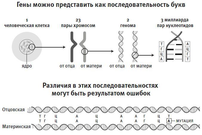 Кто мы и как сюда попали. Древняя ДНК и новая наука о человеческом прошлом - i_005.jpg