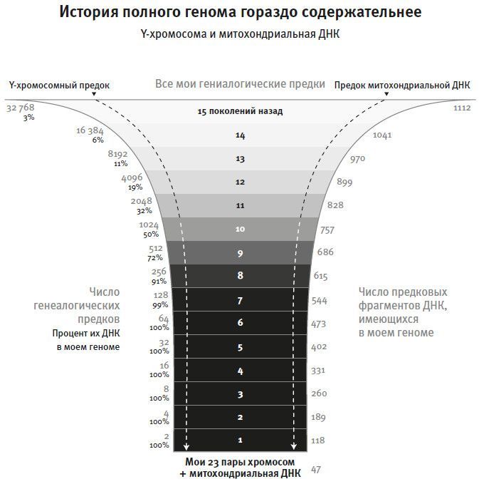 Кто мы и как сюда попали. Древняя ДНК и новая наука о человеческом прошлом - i_006.jpg