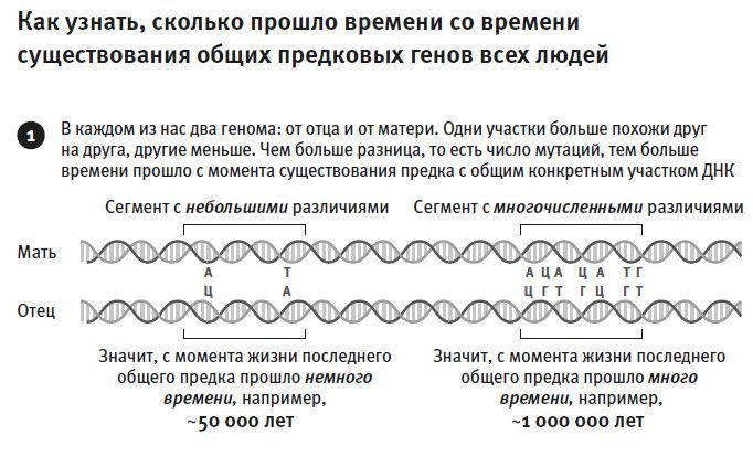 Кто мы и как сюда попали. Древняя ДНК и новая наука о человеческом прошлом - i_007.jpg