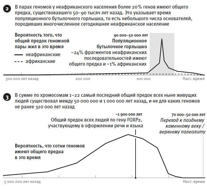 Кто мы и как сюда попали. Древняя ДНК и новая наука о человеческом прошлом - i_008.jpg