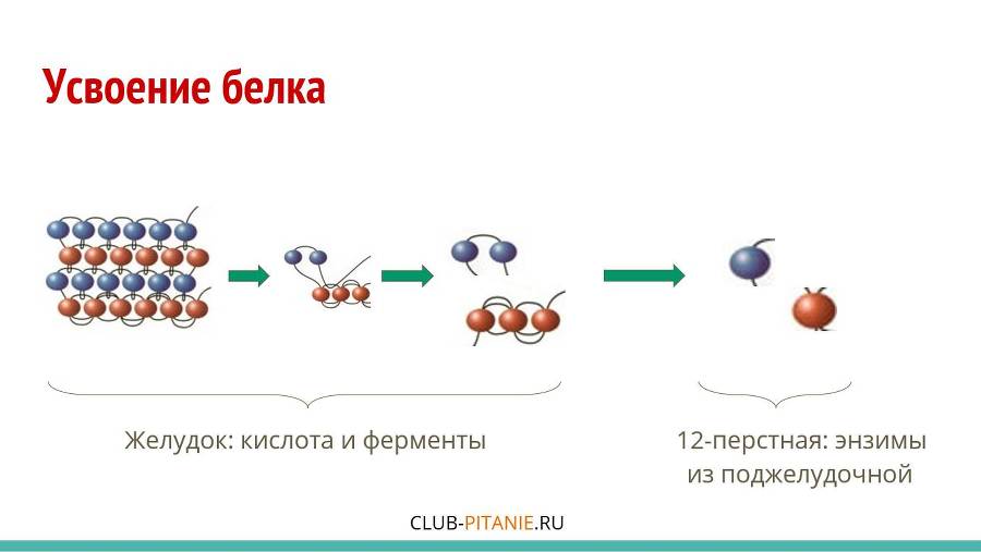 Первые шаги в мир ПП - _17.jpg