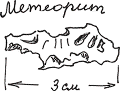 Земля Обручева, или Невероятные приключения Димы Ручейкова - i_017.png