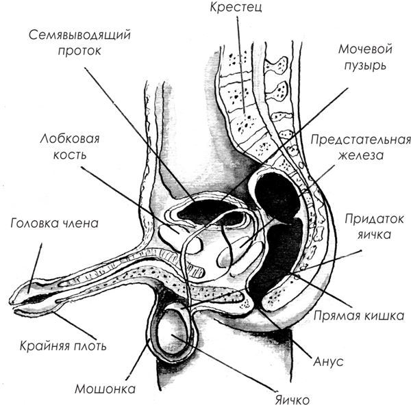 Николай Николаевич. Лирическая фантасмагория - i_002.jpg