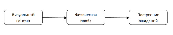 Похороните свои ожидания и живите счастливо - img_2.jpeg