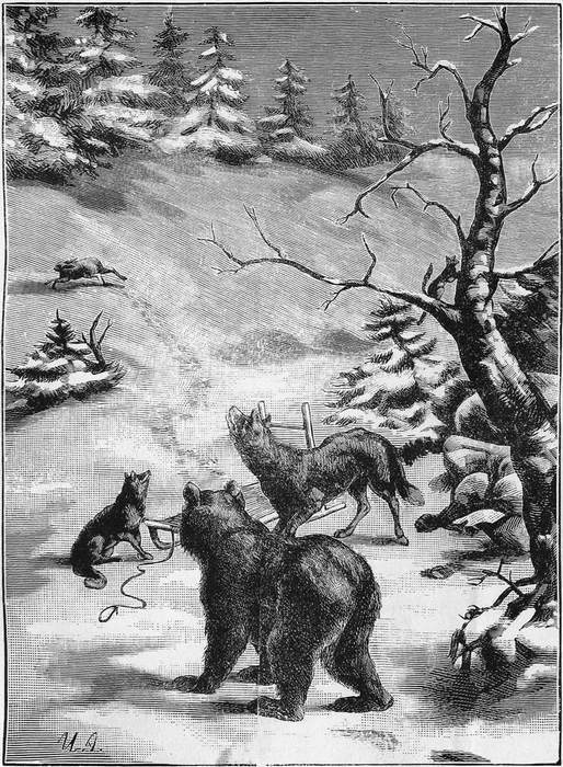 В дебрях Севера<br />(Приключения волка, медведя и лисицы) - i_004.jpg
