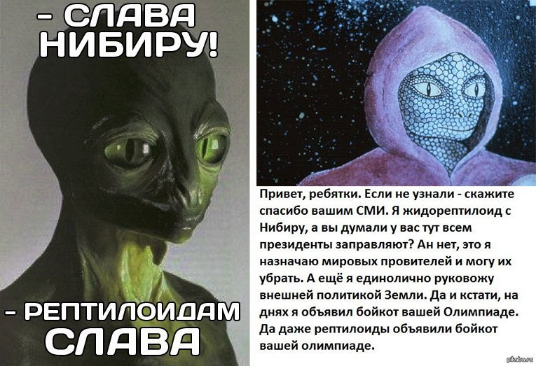 Нибиру – 2020 + Будущее России Мощь народной медицины - i_010.jpg